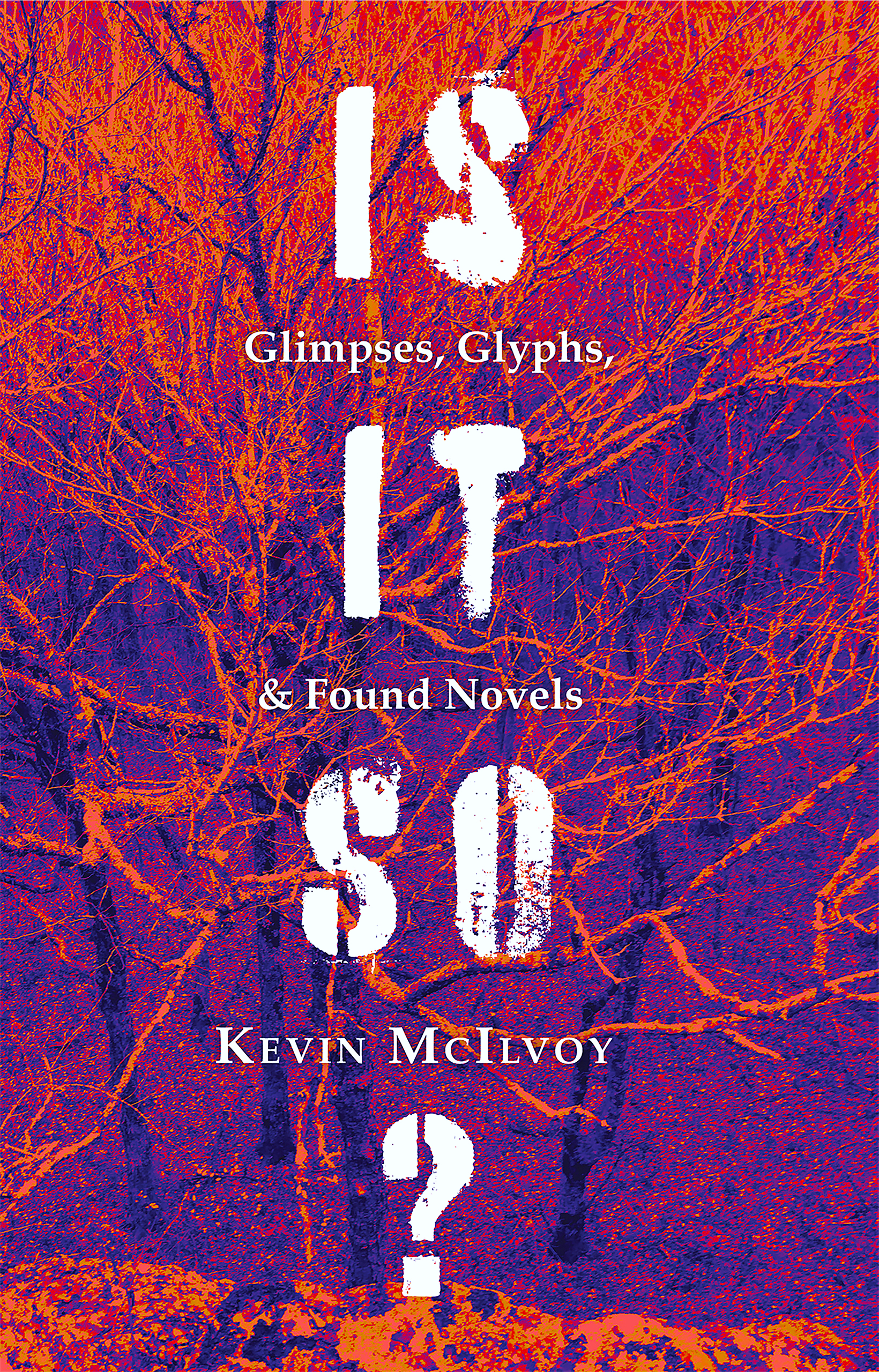 Image of the First Edition book cover for Mc McIlvoy's new (poshumously released) collection, "Is It So?"